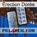 Érection Dorée 39